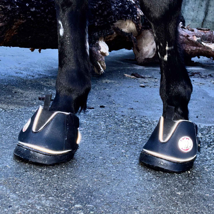 Equine Fusion Active Jogging Shoe Hoof Boot Pair