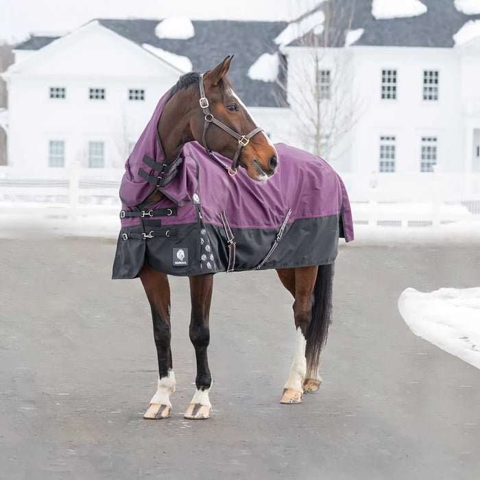 Equinavia Thunder 360 Detachable Neck Turnout Blanket (200g)