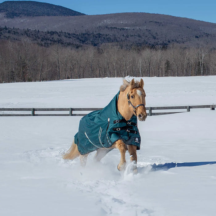 Equinavia Arktis Extended High Neck Medium Weight Turnout Blanket (200g)