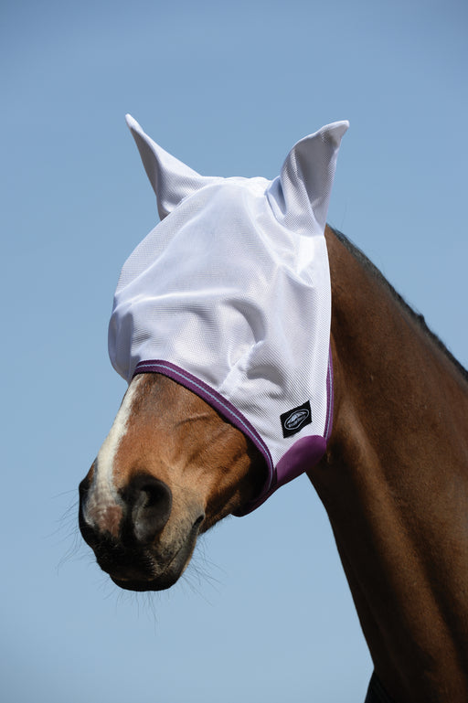WeatherBeeta ComFiTec Airflow Fly Mask in White with Violet and Blue Trim - On Horse
