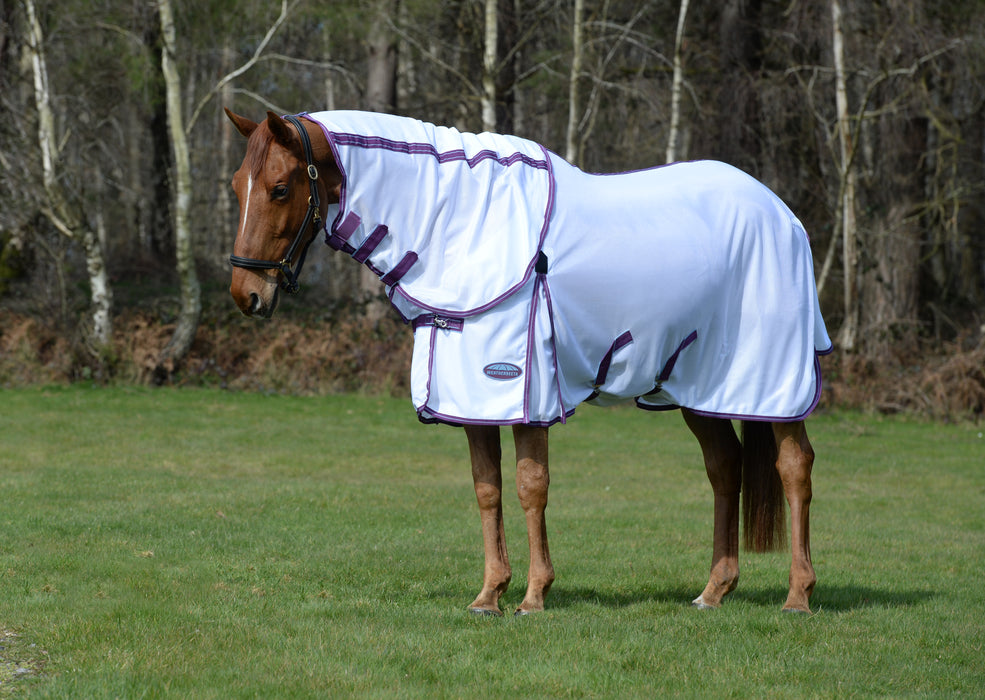 Weatherbeeta Comfitec Airflow II Detach-A-Neck Fly Sheet (No Fill) - White with Violet & Blue Trim on Horse