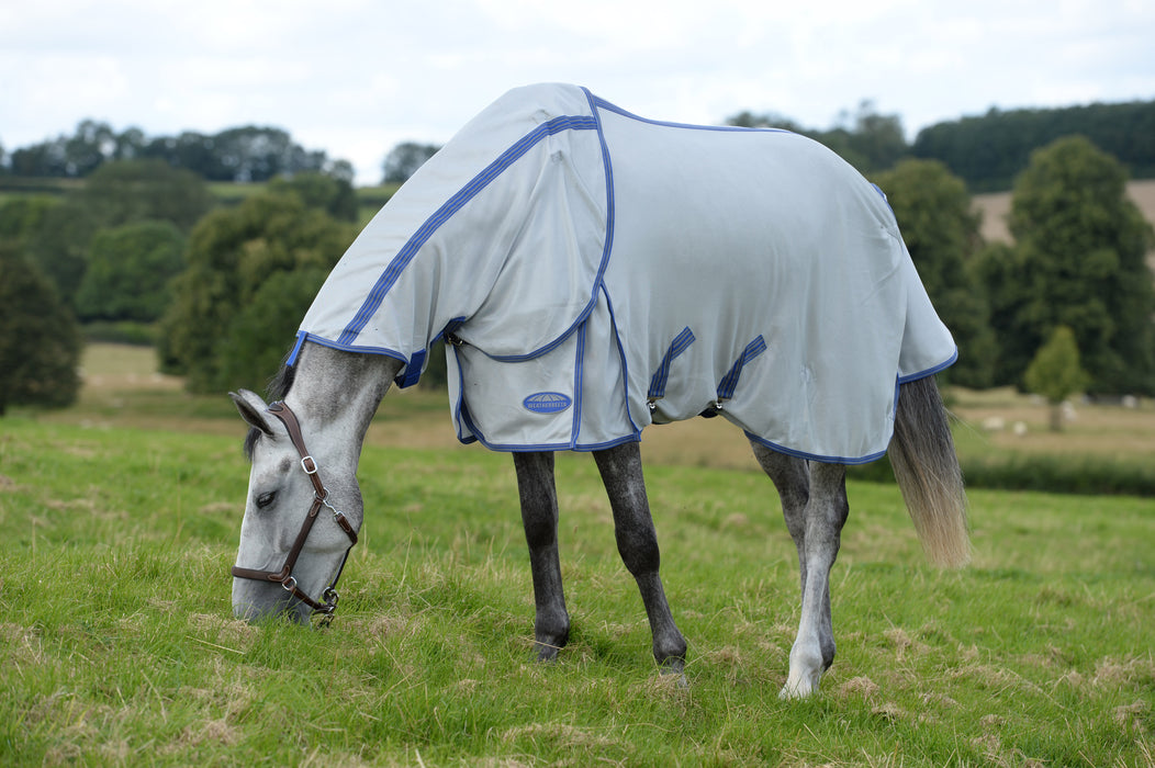 Weatherbeeta Comfitec Airflow II Detach-A-Neck Fly Sheet (No Fill) - Gray with Blue & Gray Trim on Horse Grazing