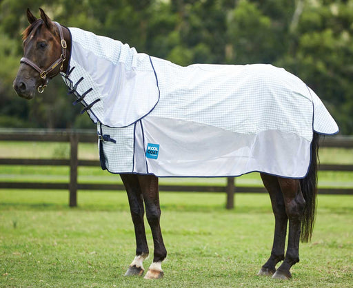 WeatherBeeta Kool Coat Airstream With Hidden Surcingle III Detach-A-Neck Summer Sheet (No Fill) in White with Navy Trim - Horse in Field