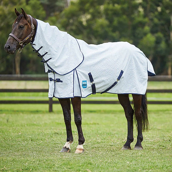 WeatherBeeta Kool Coat Classic With Surcingles III Combo Neck Summer Sheet (No Fill) in White with Navy Trim - Horse in Field