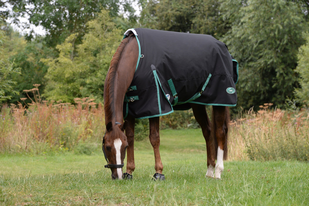WeatherBeeta Green-Tec 900D Plus Standard Neck Turnout Blanket (50g Medium-Lite) in Black with Bottle Green Trim - Horse Grazing