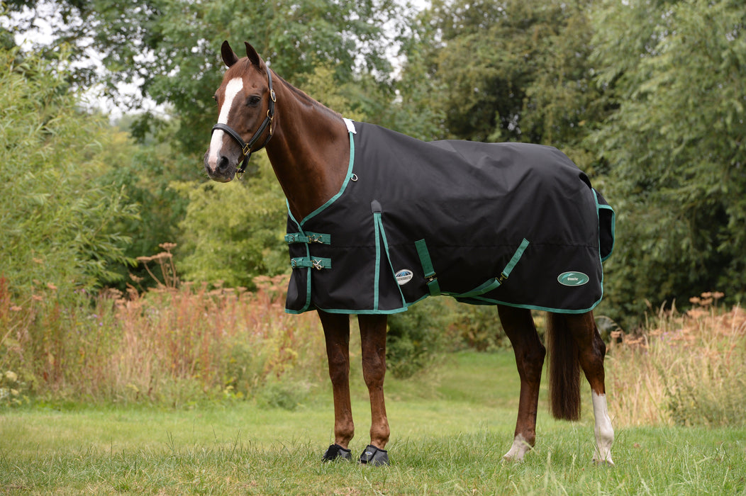 WeatherBeeta Green-Tec 900D Plus Standard Neck Turnout Blanket (50g Medium-Lite) in Black with Bottle Green Trim - Horse in Field