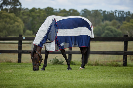 WeatherBeeta Breeze With Surcingle IV Combo Neck Summer Sheet (No Fill) in White with Navy and Red Trim - Horse Grazing
