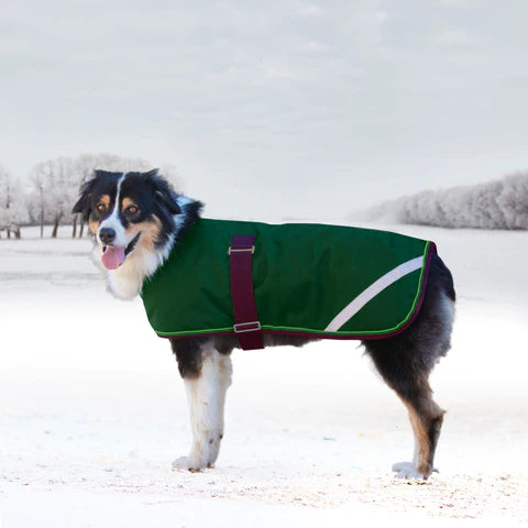 Signature Winter Dog Coat