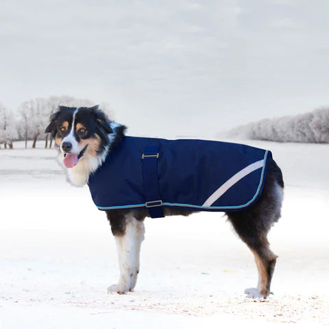 Kensington Signature Winter Dog Coat