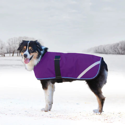Kensington Signature Winter Dog Coat
