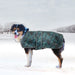 Signature Winter Dog Coat w/Chest