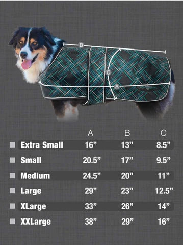 Kensington Signature Winter Dog Coat with Chest Guard (180g)