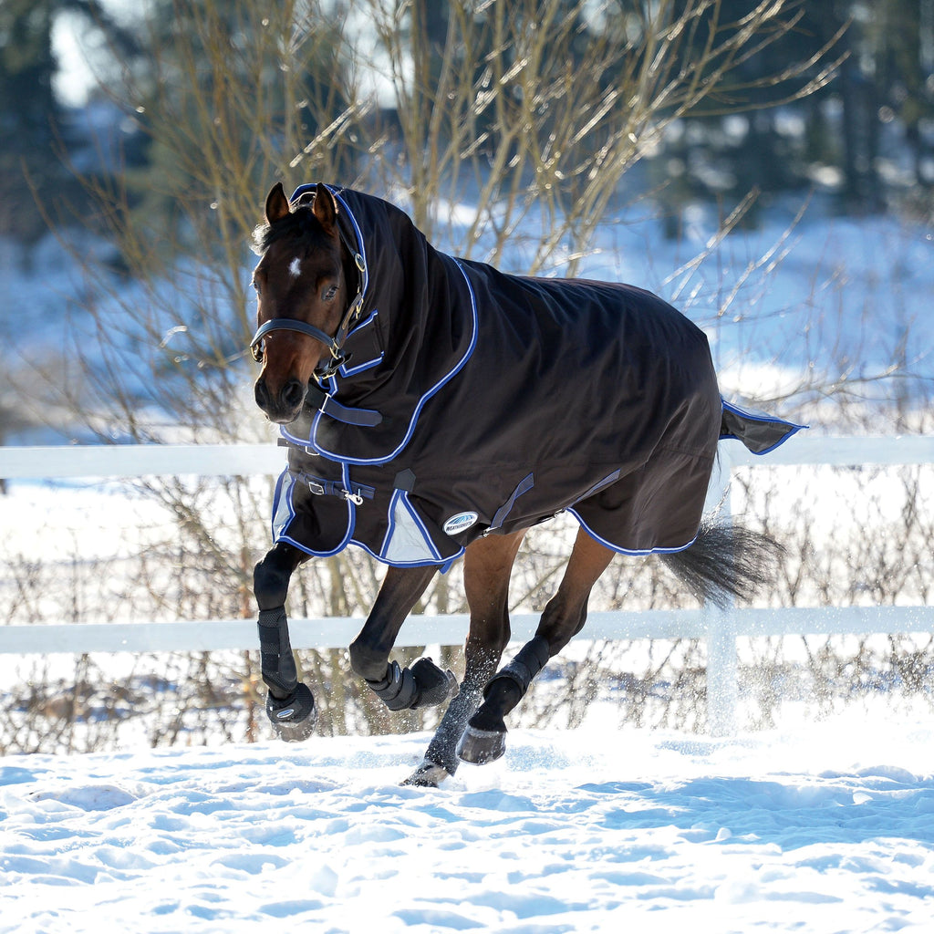 Turnouts Heavy (300g500g) — Performance Horse Blankets