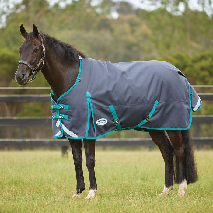 WeatherBeeta ComFiTec Plus Dynamic II Standard Neck Turnout Sheet (0g Lite) - Black with Aqua Trim