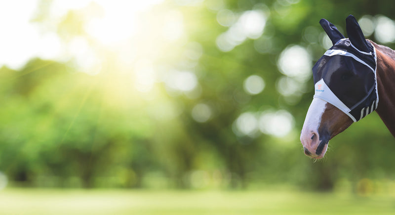 Fly Guard Pro by Shires Fine Mesh Fly Mask With Ears in Black - Horse Profile