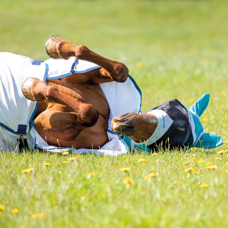 Fly Guard Pro by Shires Fine Mesh Fly Mask With Ears - Horse Rolling in Grass
