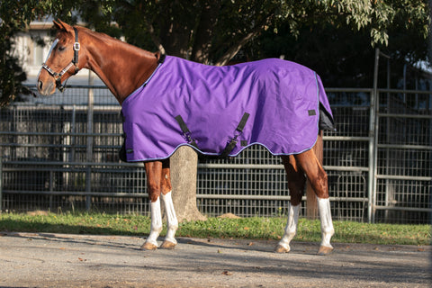 Kensington Signature Turnout Blanket (180g Medium)