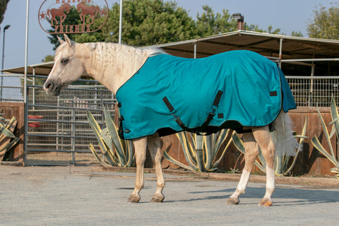 Kensington Signature Turnout Blanket (180g Medium)