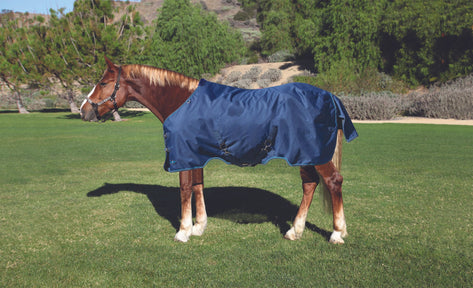 Kensington Draft Signature Medium Weight Turnout