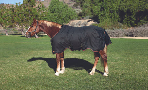 Black Kensington Draft Signature Medium Weight Turnout