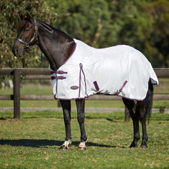 Weatherbeeta Comfitec Essential Mesh II Standard Neck Fly Sheet (No Fill) - White with Maroon & Gray Trim on Horse
