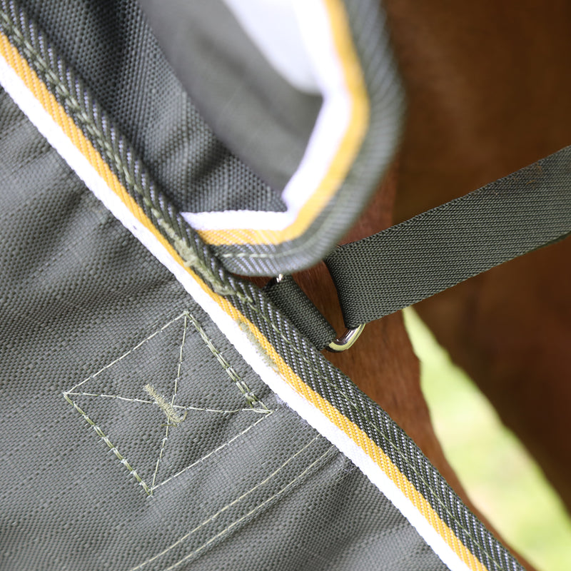 Shires Highlander Plus Standard Neck Turnout Sheet (0g Lite) in Green - Closeup