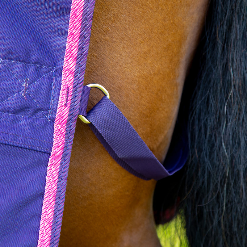 Shires Tempest Original Turnout Sheet (0g Lite) - Fillet Strap