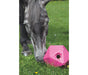 Shires Ball Feeder in Pink - With Horse