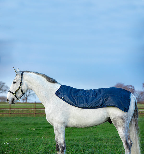 Rambo Summer Series Turnout Sheet with Disc Front(0g Lite + Hood + 100g Liner)