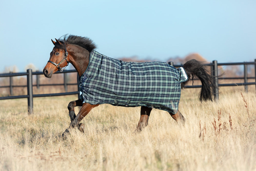 Turnout Sheets & Blankets — Performance Horse Blankets