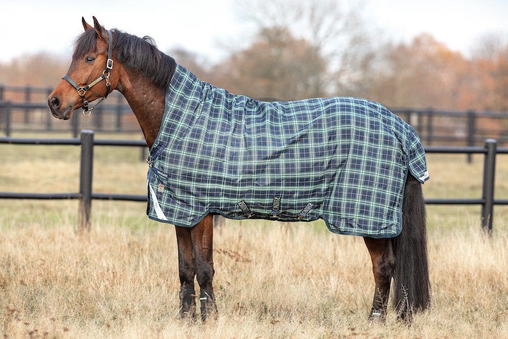 Rhino Wug VariLayer Turnout Blanket (250g Medium) — Performance Horse
