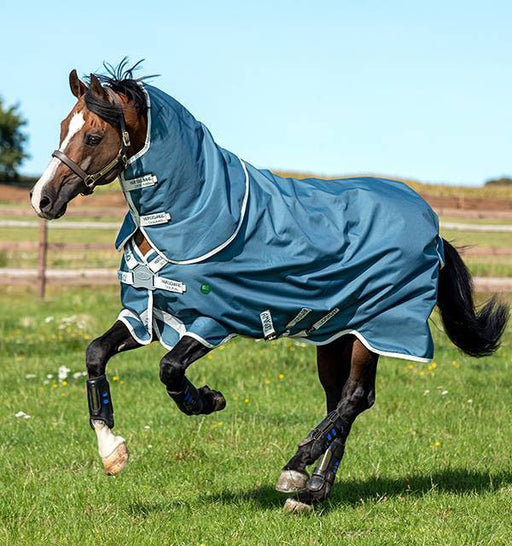 81 — Performance Horse Blankets