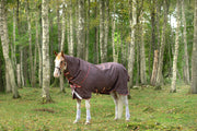 Amigo Bravo 12 Plus Turnout (100g Medium-Lite, Disc Front Closure) - Brown with Red and Gold Trim