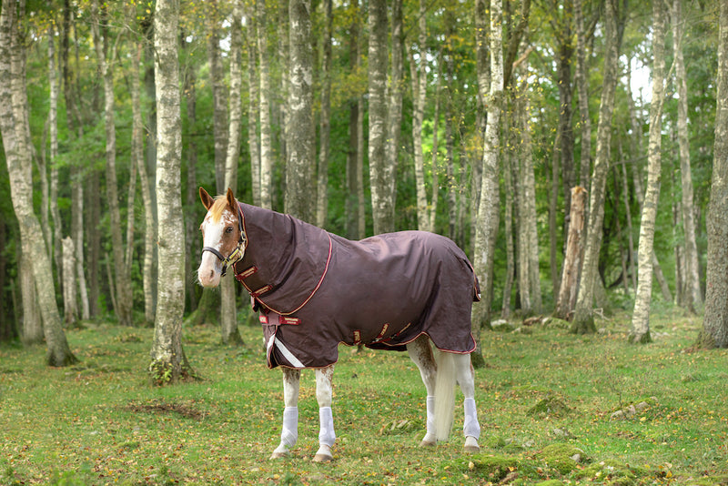 Amigo Bravo 12 Plus Turnout (100g Medium-Lite, Disc Front Closure) - Brown with Red and Gold Trim