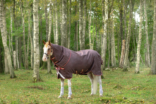 Amigo Bravo 12 Plus Turnout (100g Medium-Lite, Disc Front Closure) - Brown with Red and Gold Trim
