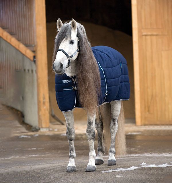 Rambo Stable Blanket (400g Heavy) - Navy with Navy & White Trim