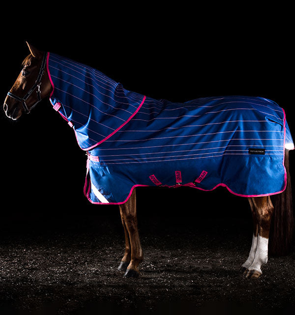 Amigo Bravo 12 Reflectech Plus Turnout Blanket (250g Medium, 150g Hood)