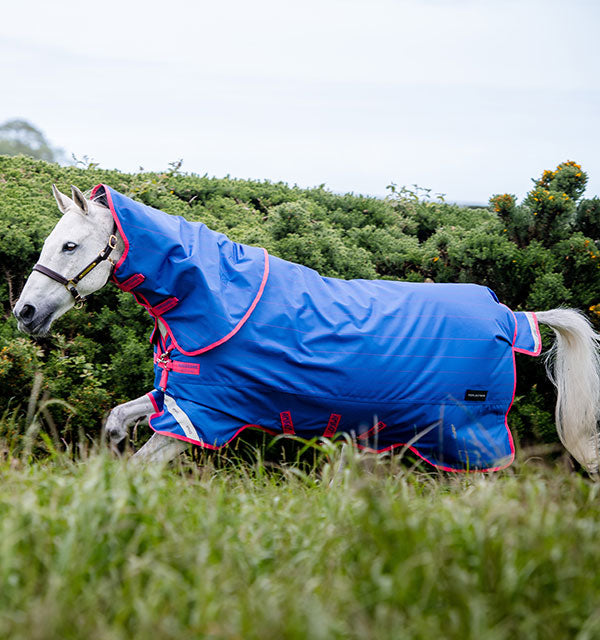 Amigo Bravo 12 Reflectech Plus Turnout Blanket (250g Medium, 150g Hood)