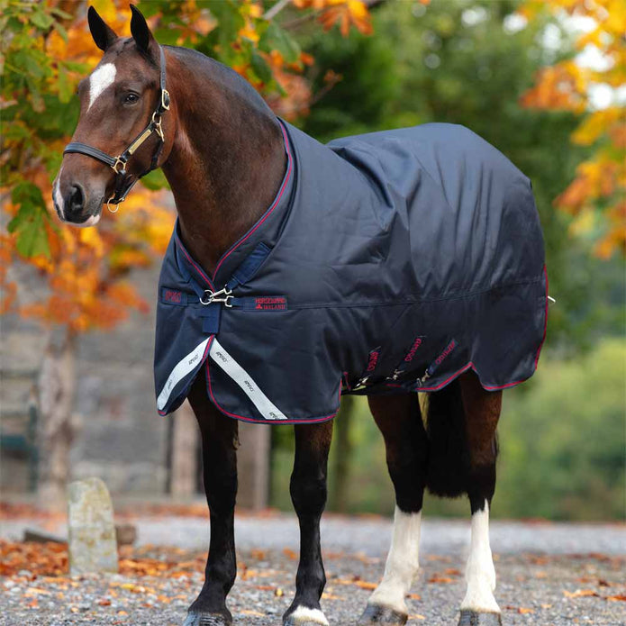 Horse Blankets for Friesians