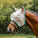 Amigo Fly Mask in Oatmeal with Green