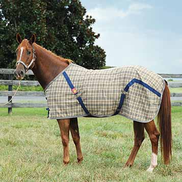 The Original Baker¬¨√Ü Stable Sheet