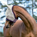 Amigo Finemesh Fly Mask Silver with Plum