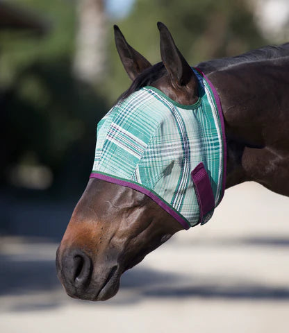 Kensington Fly Mask with Web Trim