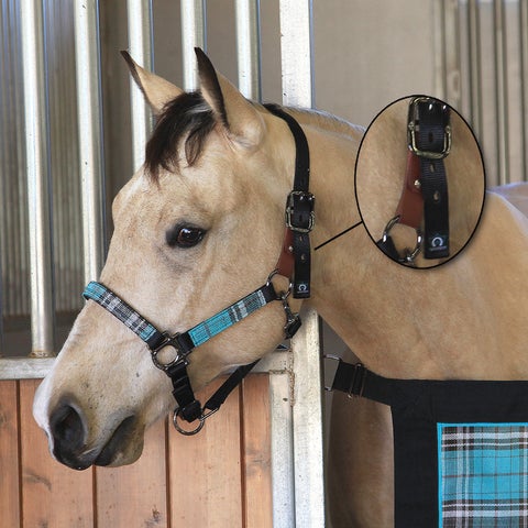 Kensington Breakaway Nylon Halter in Black Ice Plaid