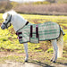 Kensington Miniature Horse Protective Fly Sheet  Imperial