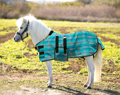 Kensington Miniature Horse Protective Fly Sheet in Atlantis