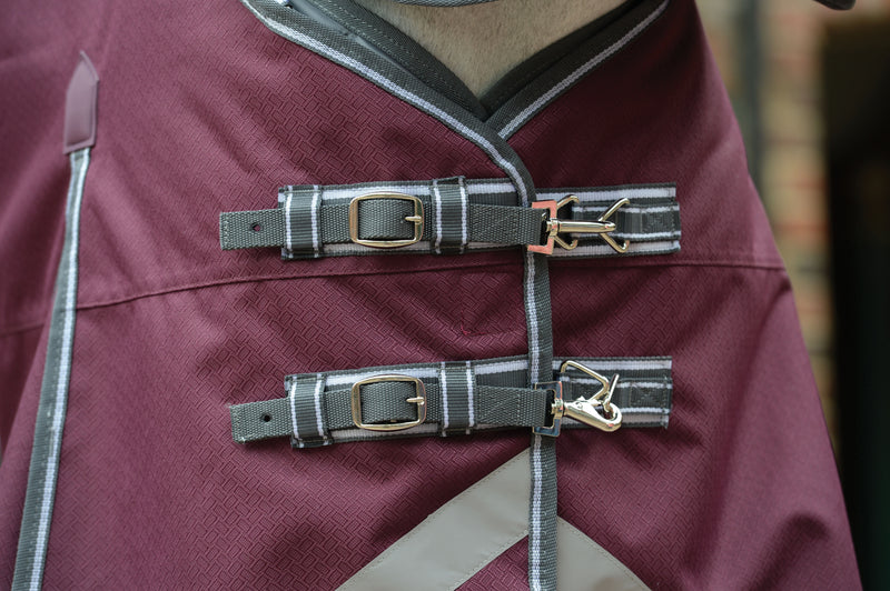 WeatherBeeta ComFiTec Plus Dynamic II Standard Neck Turnout Sheet (0g Lite) - Front Closure