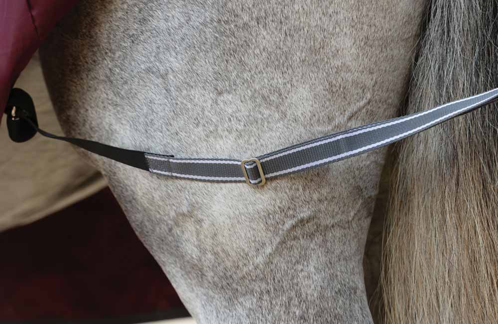 WeatherBeeta ComFiTec Plus Dynamic II Medium-Lite 100g Turnout Blanket Leg Straps