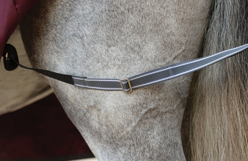 WeatherBeeta ComFiTec Plus Dynamic II Standard Neck Turnout Sheet (0g Lite) - Leg Strap