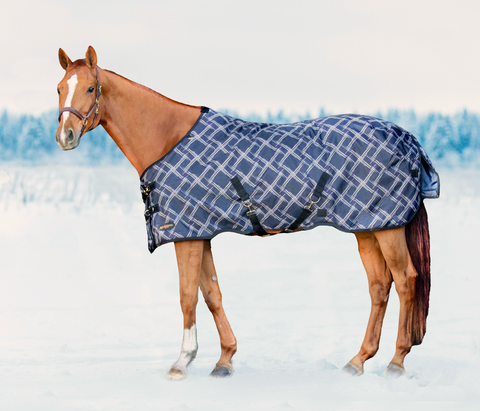 Signature blanket for heavy winter 2025